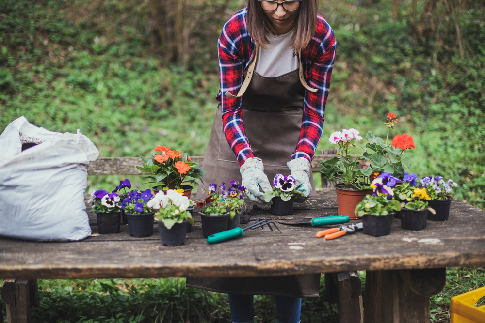 Gardening