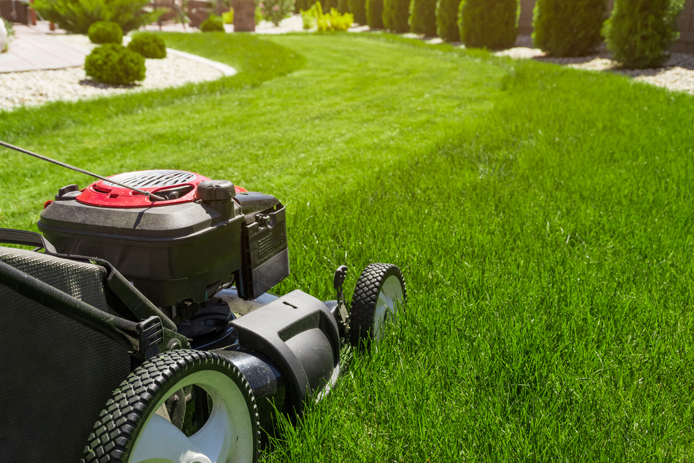 Mowing the lawn