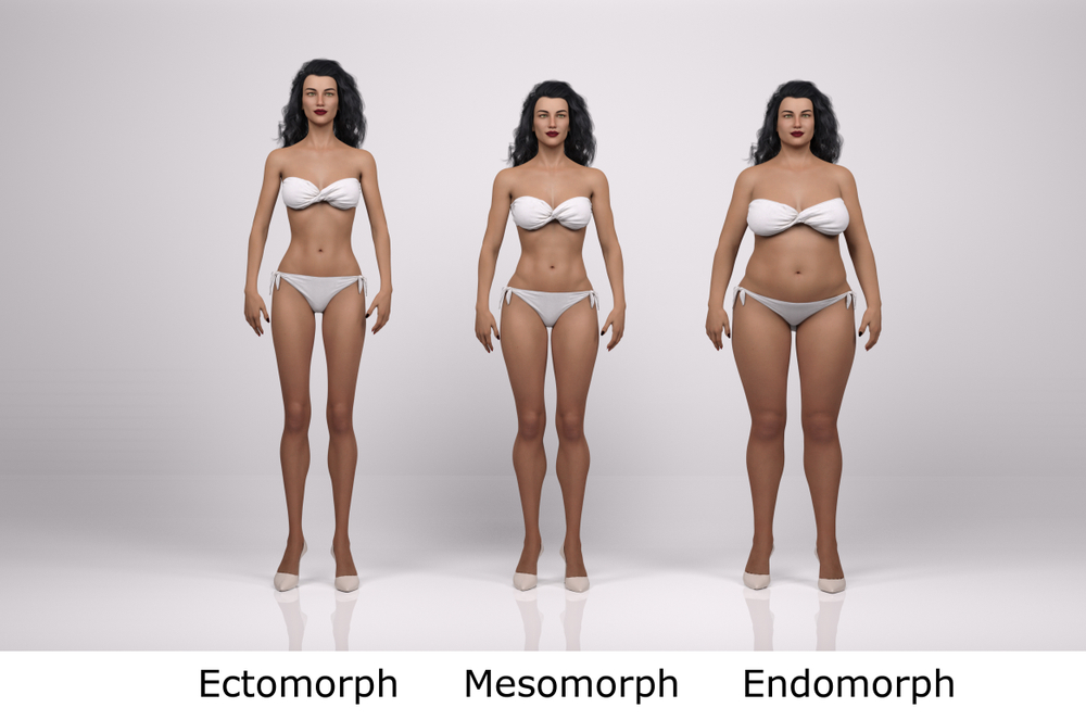 Endomorph Body Type  Endomorph body type, Endomorph, Body types