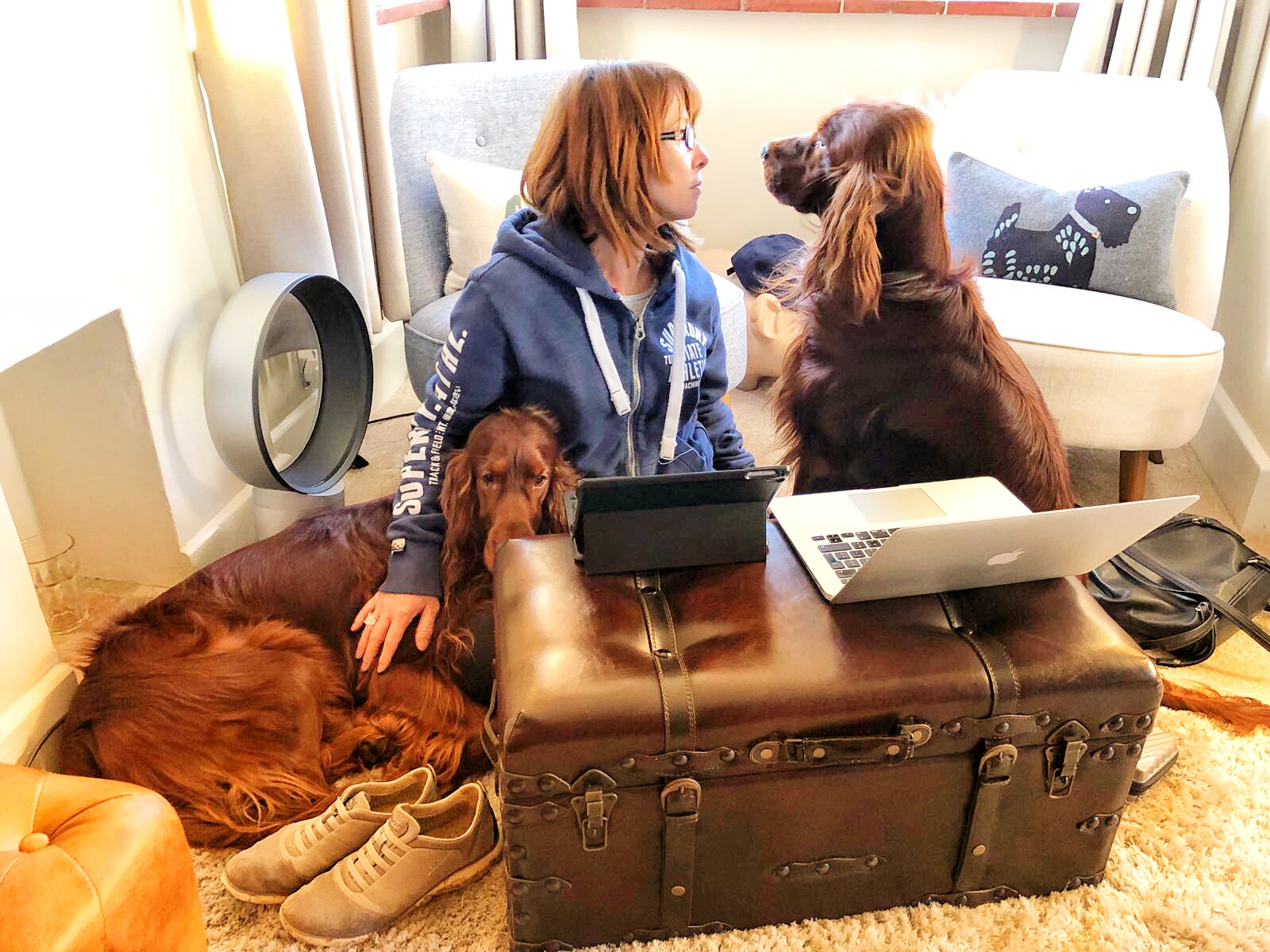Kay Burley with dogs