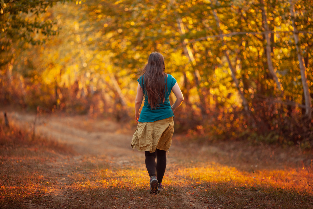 Nature trail