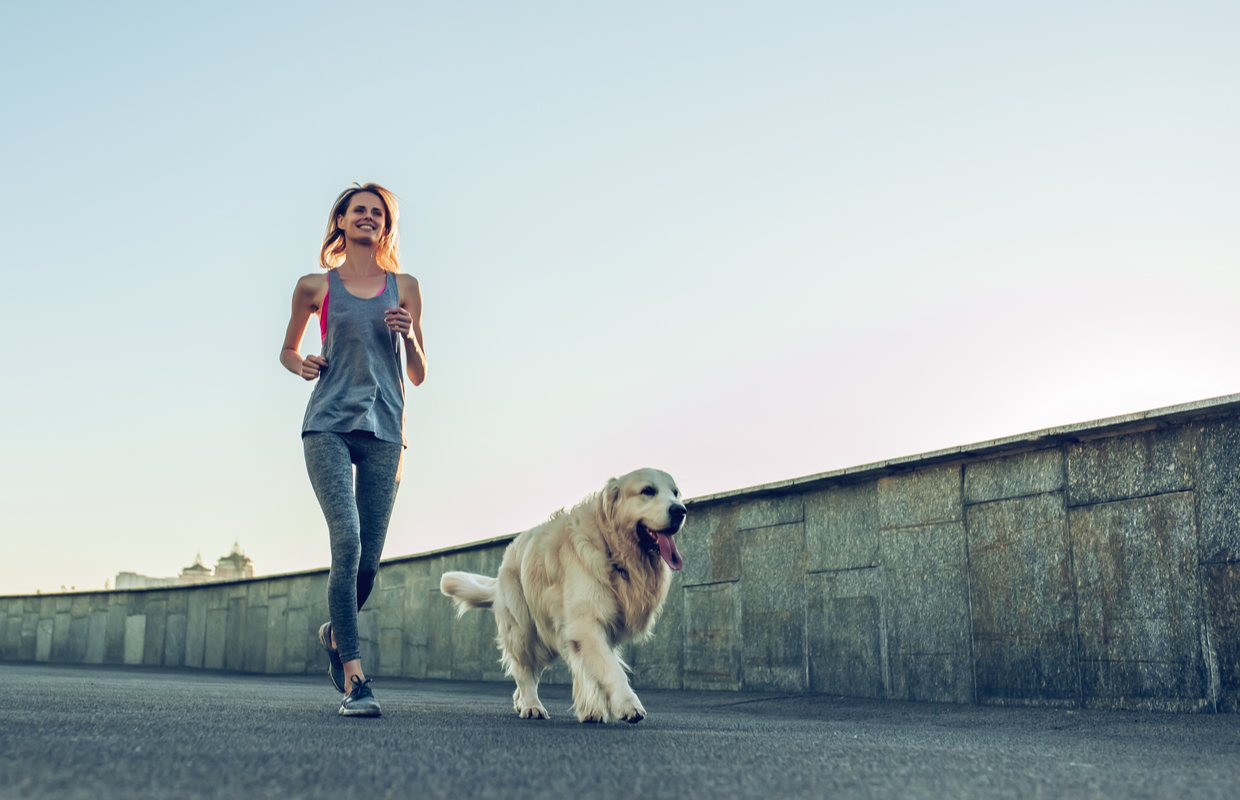 running with dogs