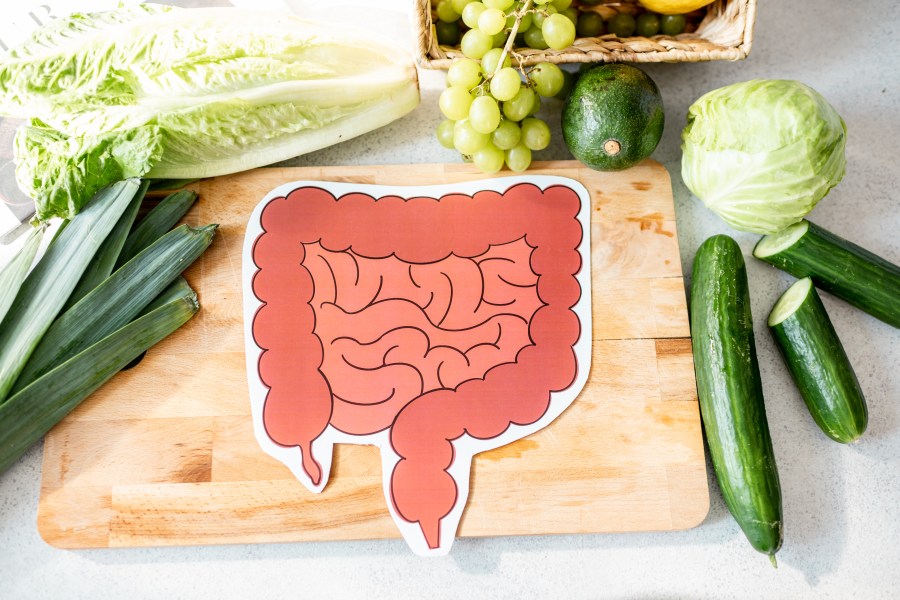 Gut Health: Key to Successful Weight Loss Gut Health: Key to Successful Weight Loss