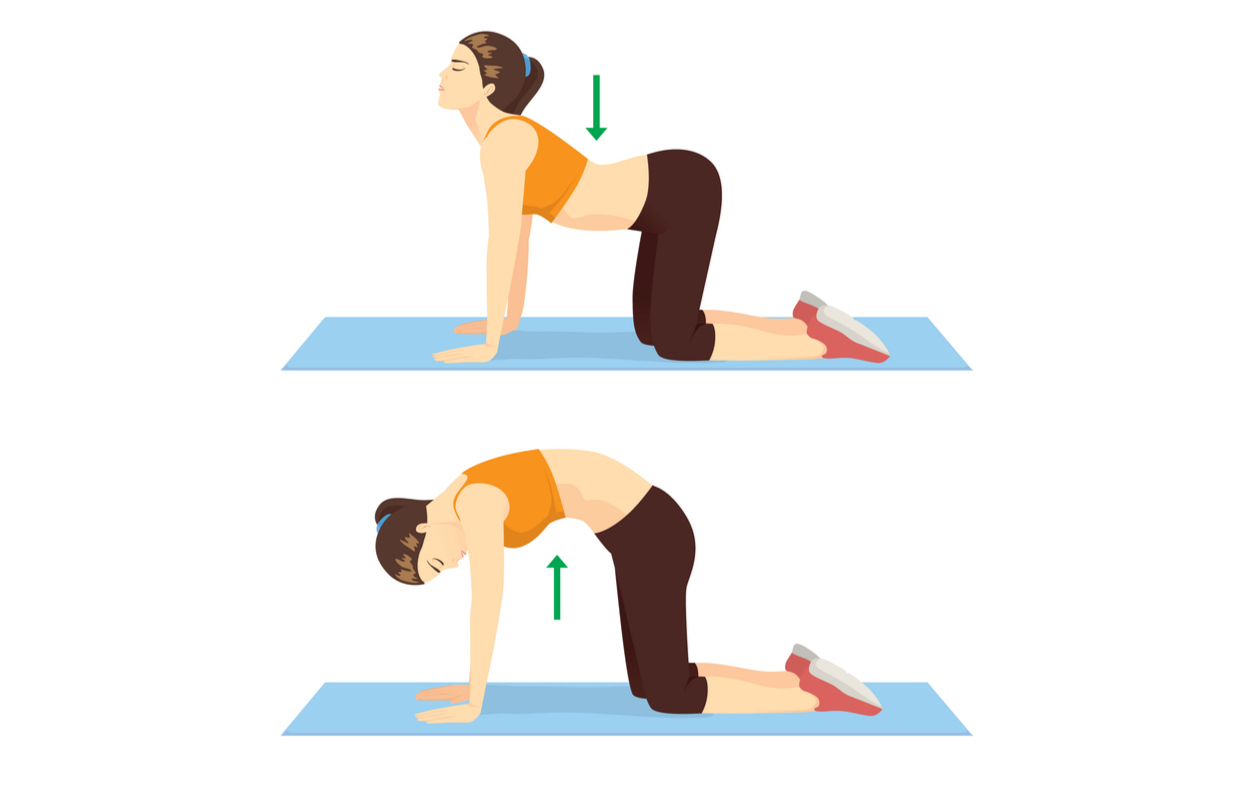 8 Yoga Poses for Ankylosing Spondylitis