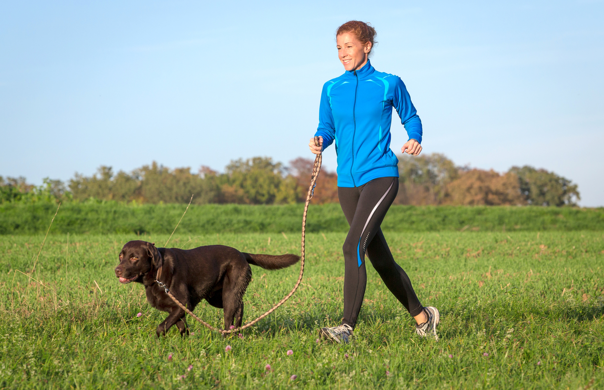 is dog walking good exercise for fitness