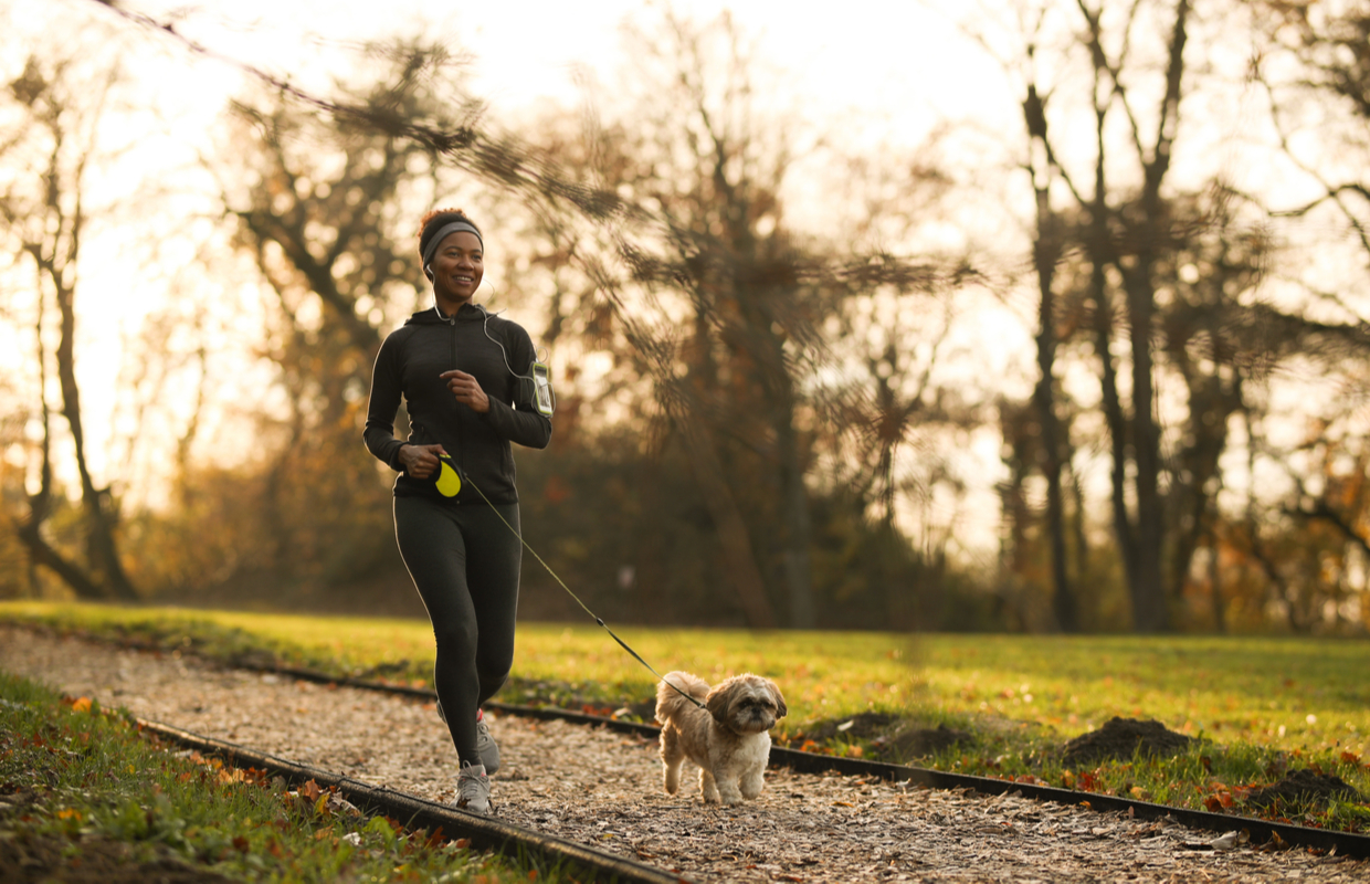 is dog walking good exercise for fitness