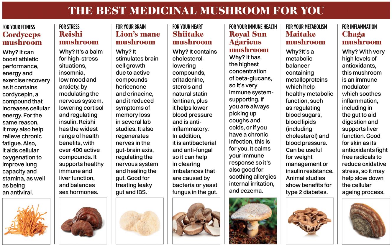 medicinal mushrooms benefits chart