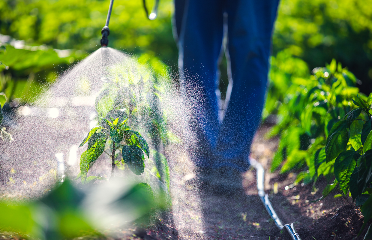 how to avoid exposure to pesticides in food