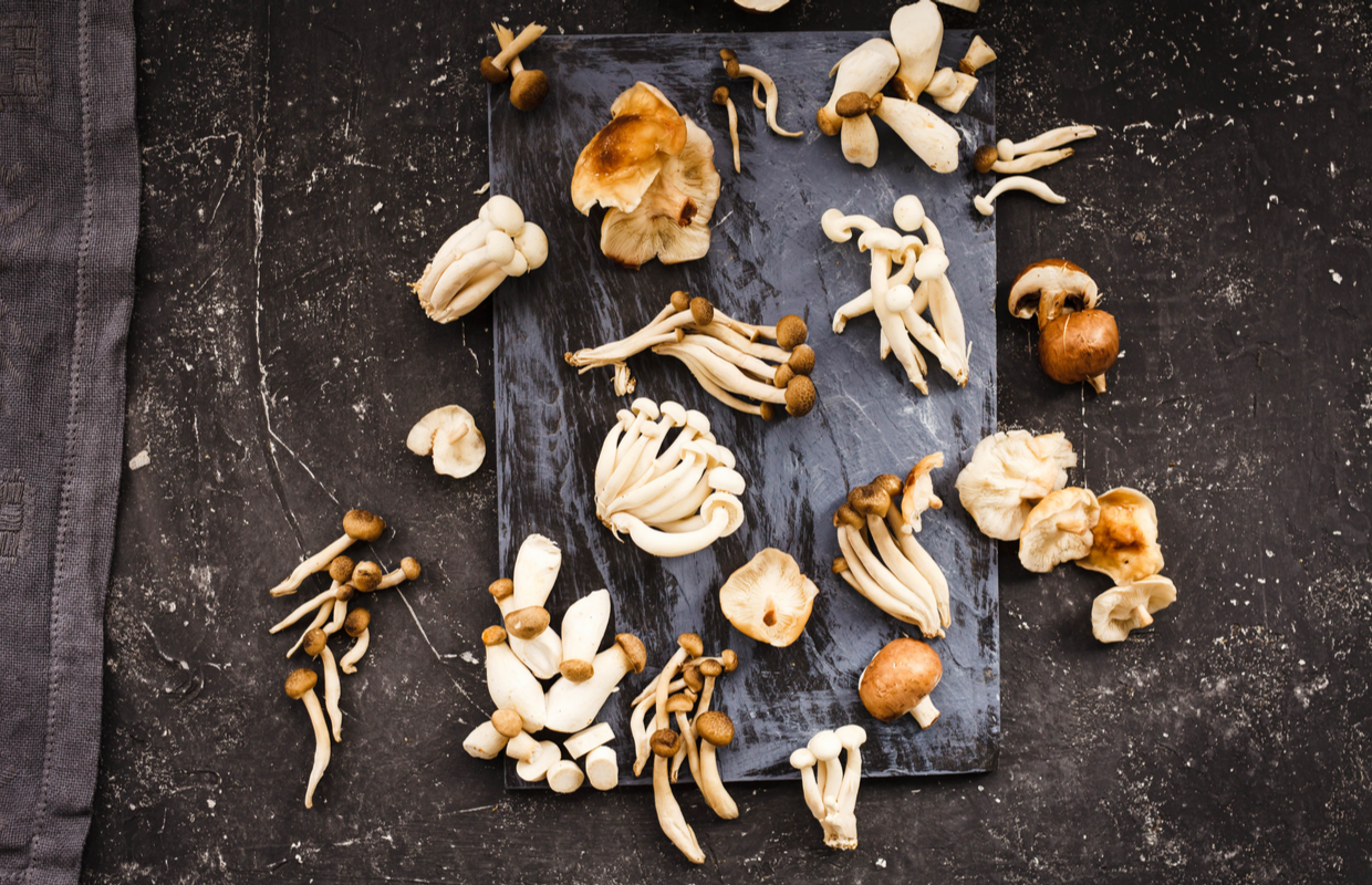medicinal mushrooms benefits