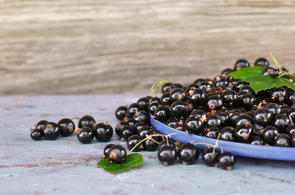 blackcurrants