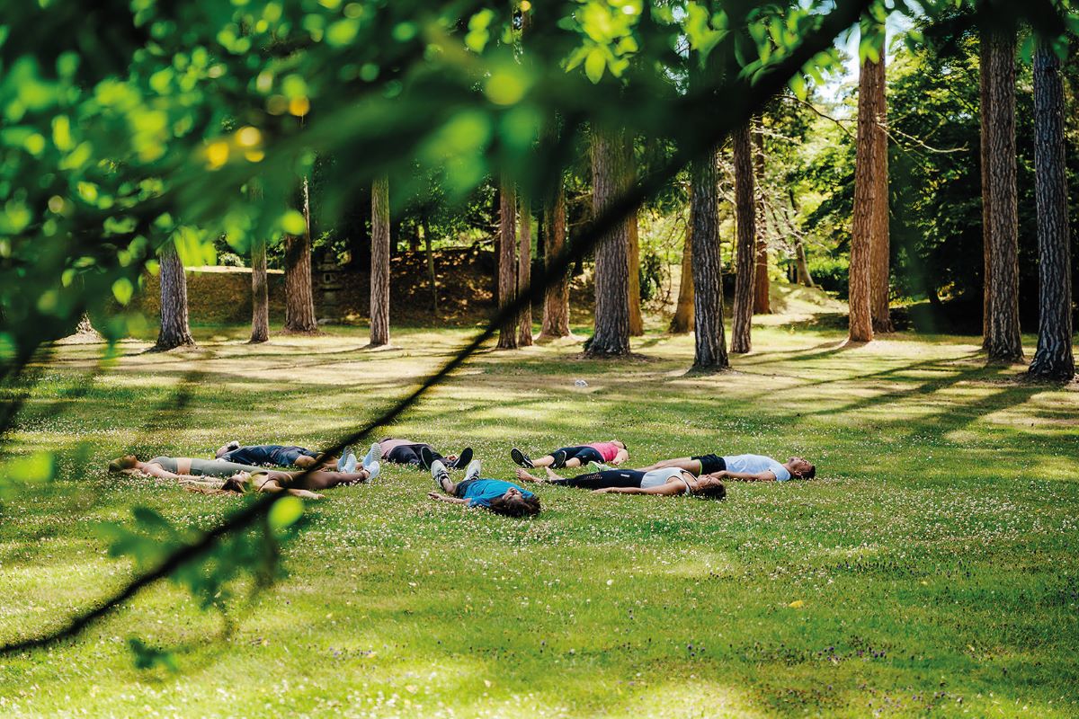 south lodge forest bathing