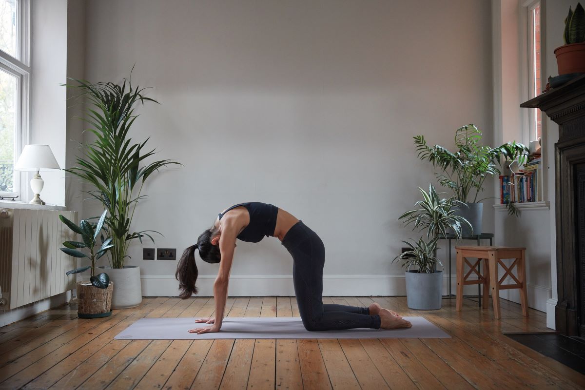 woman demonstrating cat cow yoga self practice routine