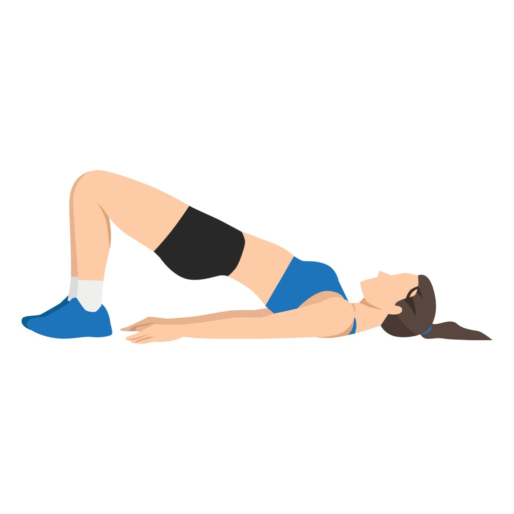 illustration of glute bridges demonstration