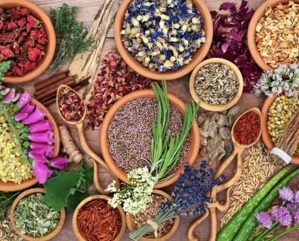 Discover the benefits of adaptogens for sports performance