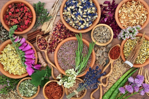 Discover the benefits of adaptogens for sports performance