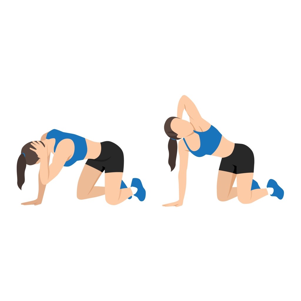 illustration demonstrating thoracic stretches for upper back mobility
