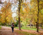 Woman walking in a park