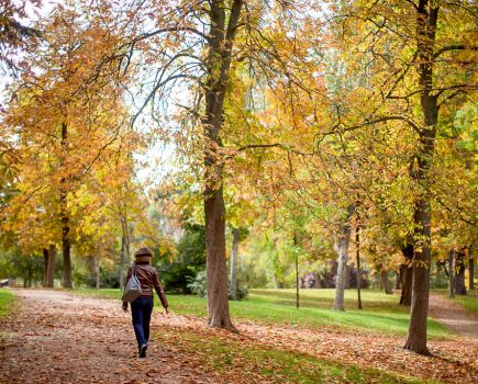 Woman walking in a park