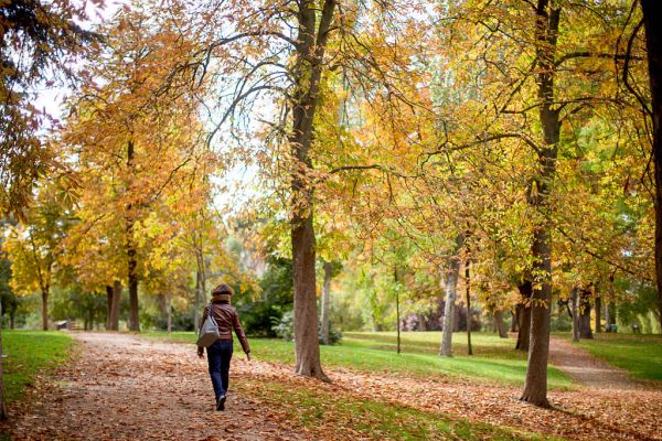Woman walking in a park